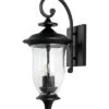 Safavieh Dowell Outdoor Wall Sconce Home