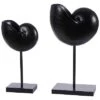 Safavieh Resi Set Of 2 Snails Table Decor Home