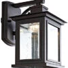 Safavieh Gorgen Outdoor Wall Lantern Home
