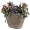 Safavieh Faux Succulent Potted Plant Home