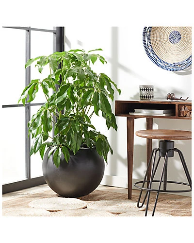 Safavieh Kenslia Planter Home - Image 2