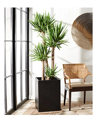 Safavieh Kendri Planter Home - Image 3