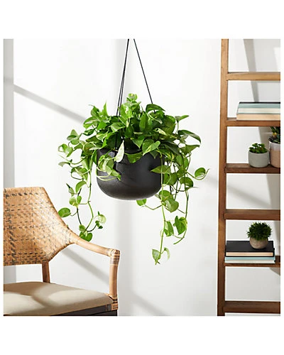 Safavieh Rancer Planter Home - Image 2