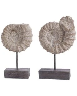 Safavieh Toren Set Of 2 Ammonite Shells Table Decor Home