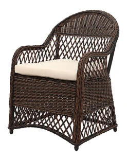 Safavieh Davies Outdoor Wicker Arm Chair With Cushion Home
